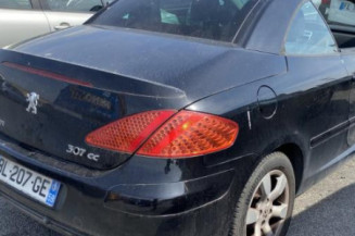 Mastervac PEUGEOT 307