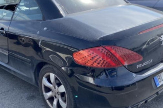 Mastervac PEUGEOT 307