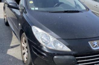 Mastervac PEUGEOT 307