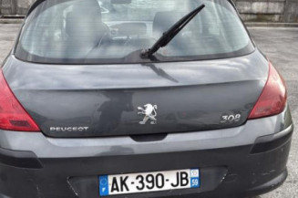 Mastervac PEUGEOT 308 1