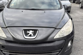 Mastervac PEUGEOT 308 1