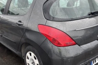 Mastervac PEUGEOT 308 1