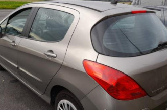 Mastervac PEUGEOT 308 1 Photo n°1