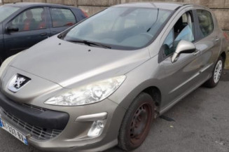 Mastervac PEUGEOT 308 1