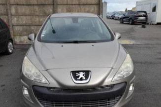 Mastervac PEUGEOT 308 1