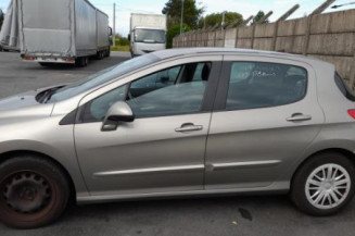 Mastervac PEUGEOT 308 1