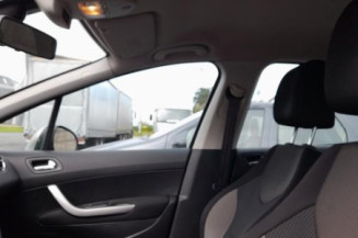 Mastervac PEUGEOT 308 1