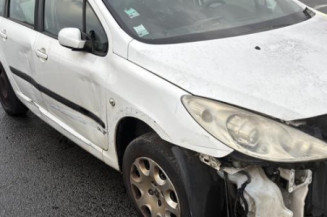 Mastervac PEUGEOT 307