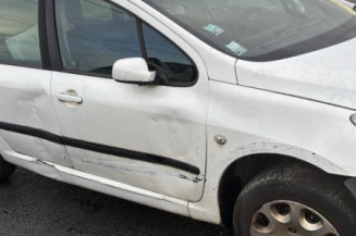 Mastervac PEUGEOT 307