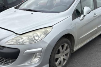 Mastervac PEUGEOT 308 1