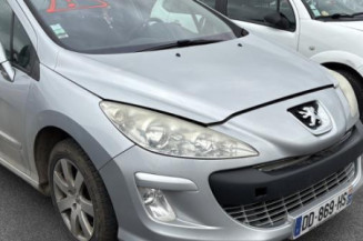 Mastervac PEUGEOT 308 1