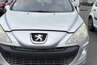 Mastervac PEUGEOT 308 1