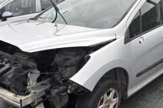 Mastervac PEUGEOT 308 1 Photo n°1