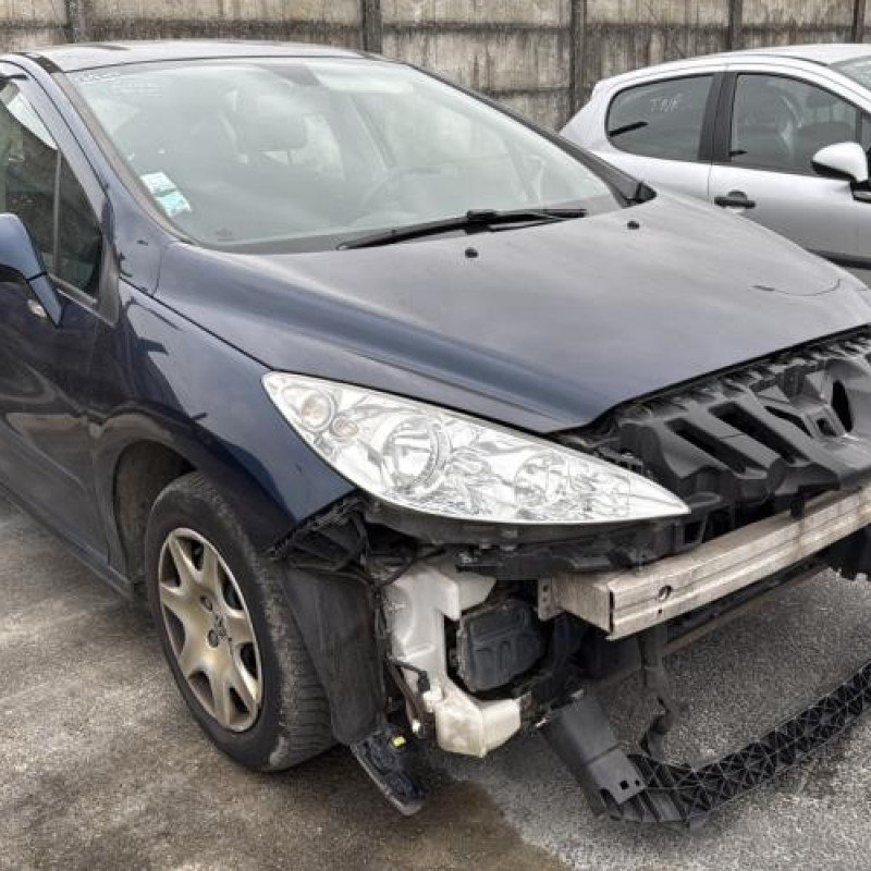 Mastervac PEUGEOT 308 1 Photo n°2