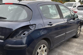 Mastervac PEUGEOT 308 1