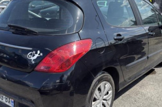 Mastervac PEUGEOT 308 1