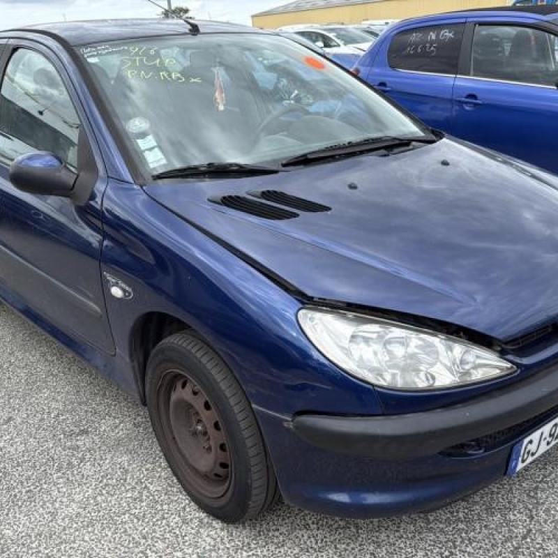 Arret de porte avant gauche PEUGEOT 206 Photo n°6