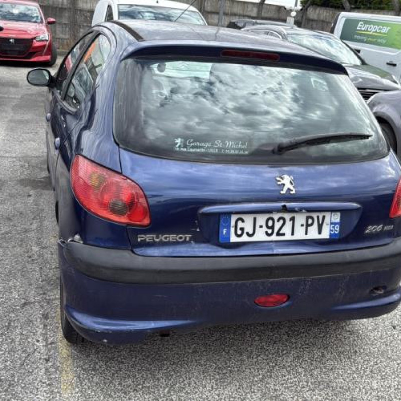 Arret de porte avant gauche PEUGEOT 206 Photo n°9