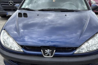 Arret de porte avant gauche PEUGEOT 206