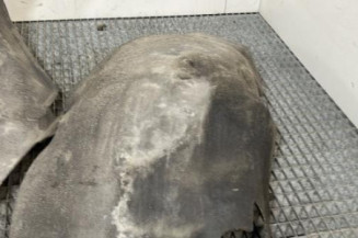 Pare boue avant droit CITROEN C5 2