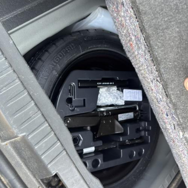 Arret de porte arriere gauche RENAULT CAPTUR 1 Photo n°20