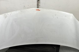 Capot RENAULT KANGOO 2 Photo n°1