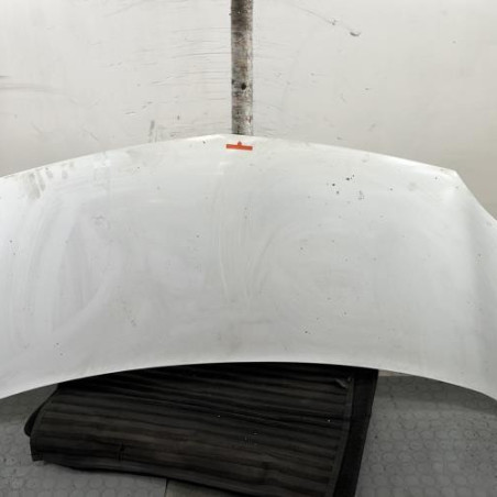 Capot RENAULT KANGOO 2 Photo n°1