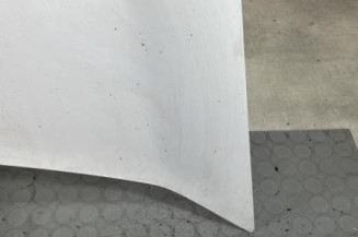 Capot RENAULT KANGOO 2