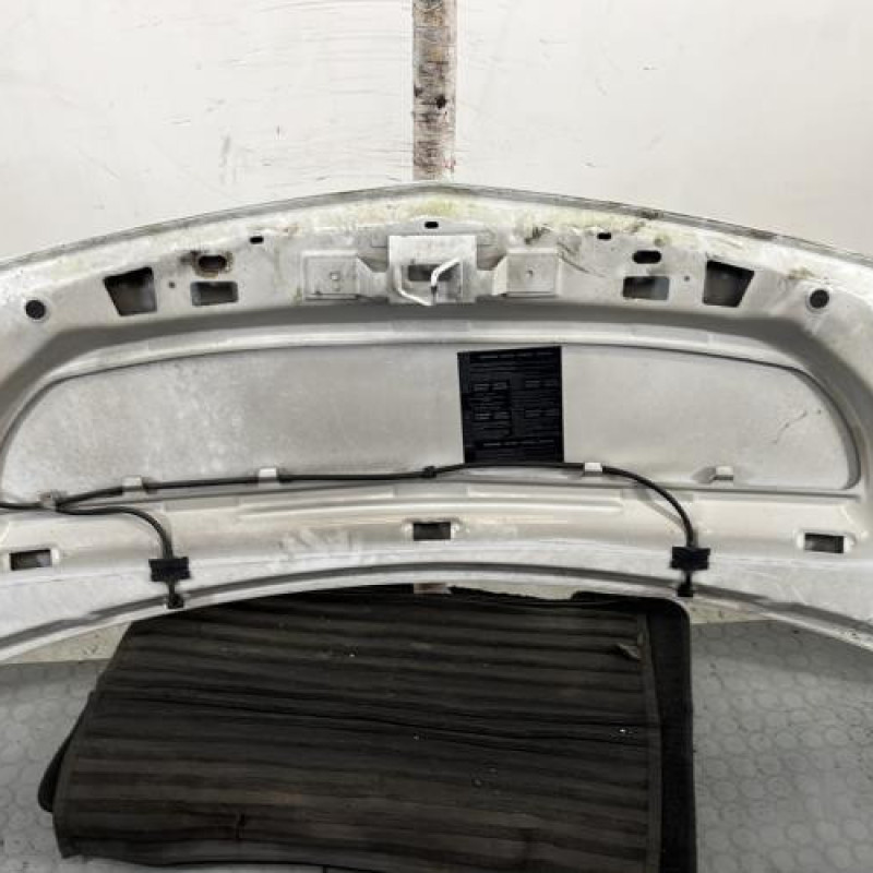 Capot RENAULT KANGOO 2 Photo n°10