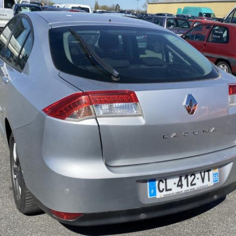 Arret de porte avant gauche RENAULT LAGUNA 3 Photo n°10