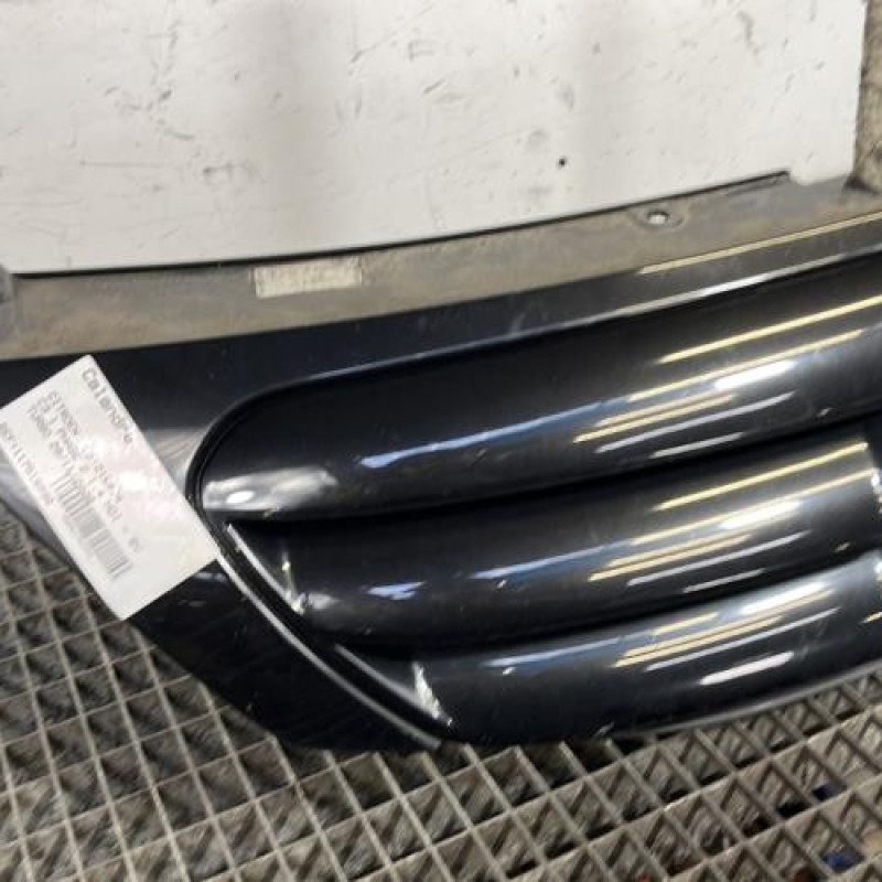 Calandre CITROEN C3 1 Photo n°2