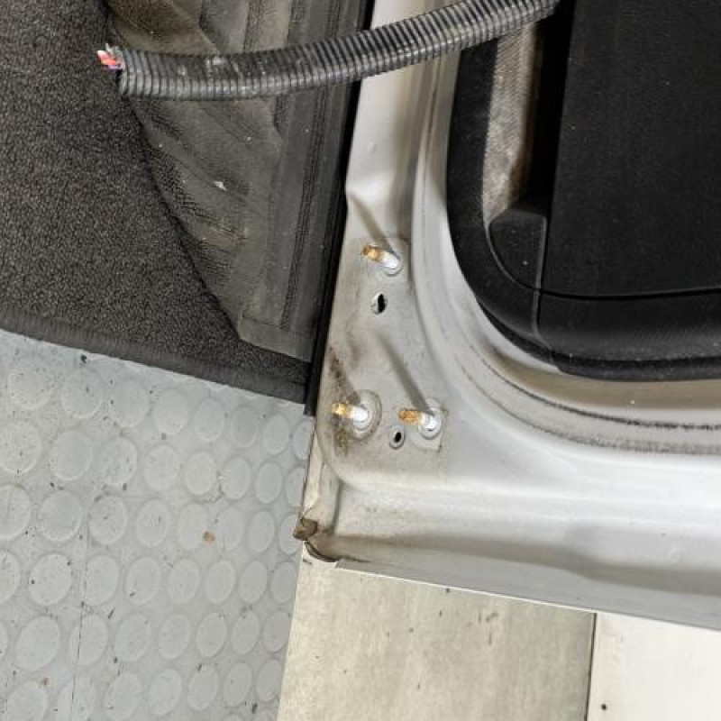 Porte laterale gauche PEUGEOT PARTNER 2 Photo n°6