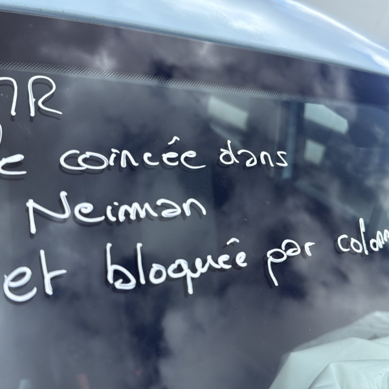 RENAULT TWINGO 3 PHASE 2 ZE Photo n°9