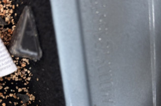 RENAULT TWINGO 3 PHASE 2 ZE