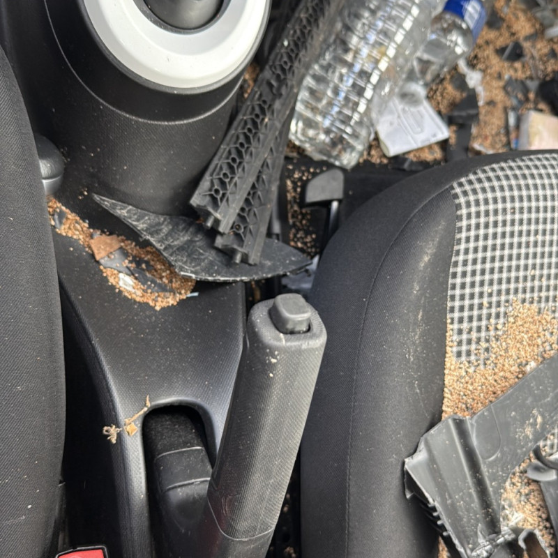 RENAULT TWINGO 3 PHASE 2 ZE Photo n°18