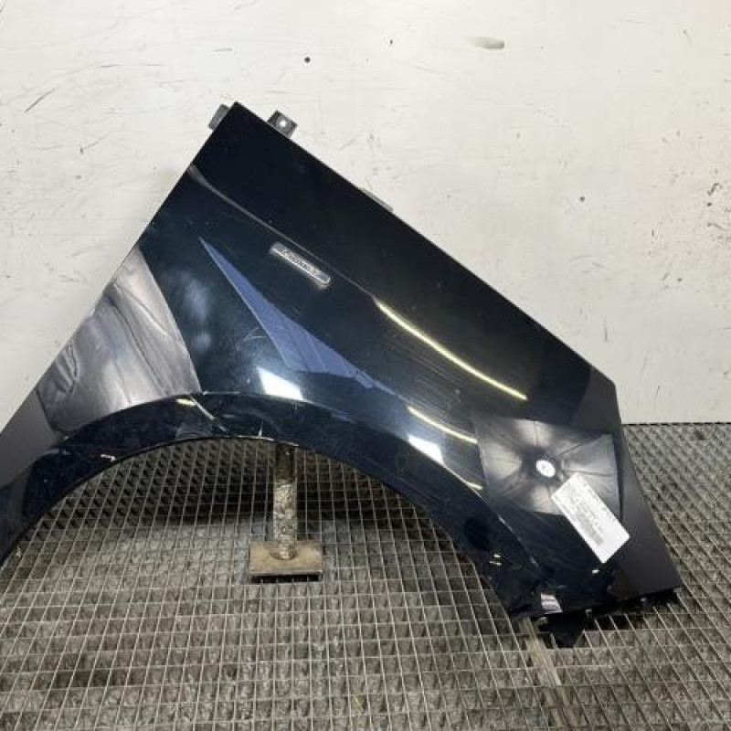 Aile avant droit RENAULT SCENIC 3 Photo n°1