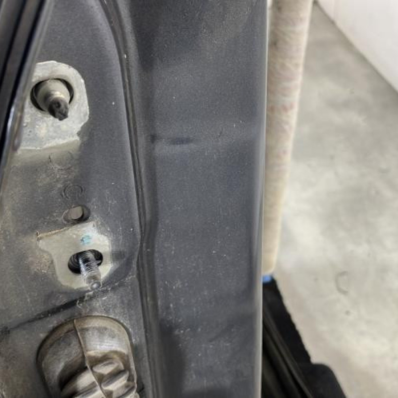 Porte arriere droit RENAULT GRAND SCENIC 2 Photo n°4