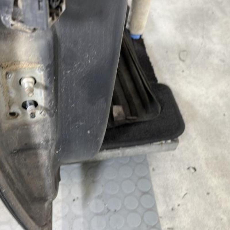 Porte arriere droit RENAULT GRAND SCENIC 2 Photo n°5