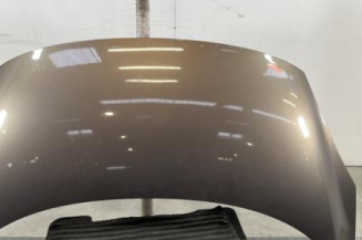 Capot RENAULT SCENIC 3 Photo n°1