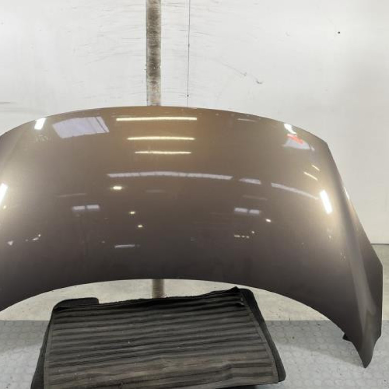 Capot RENAULT SCENIC 3 Photo n°1