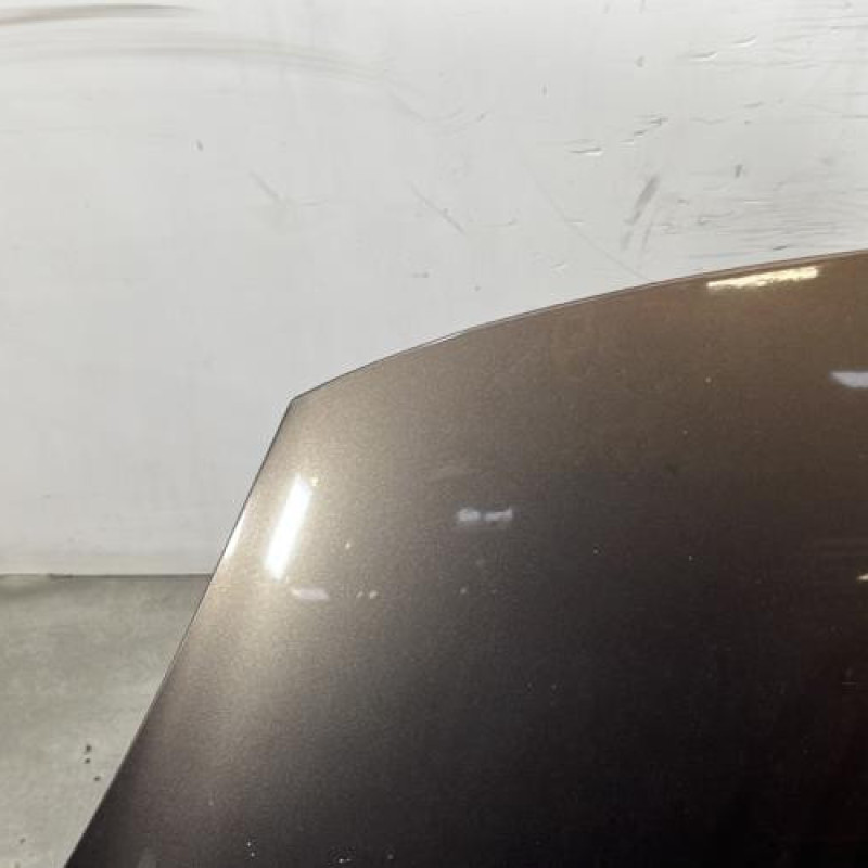 Capot RENAULT SCENIC 3 Photo n°2