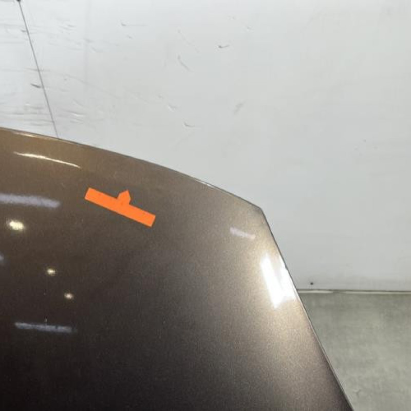 Capot RENAULT SCENIC 3 Photo n°3