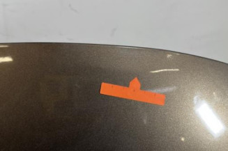 Capot RENAULT SCENIC 3