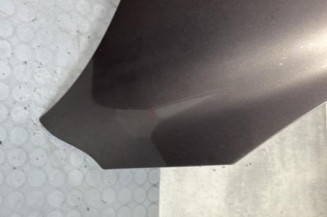 Capot RENAULT SCENIC 3