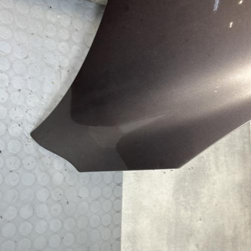 Capot RENAULT SCENIC 3 Photo n°5