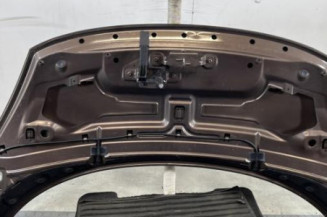 Capot RENAULT SCENIC 3