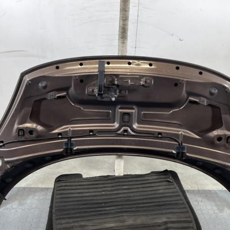 Capot RENAULT SCENIC 3 Photo n°10