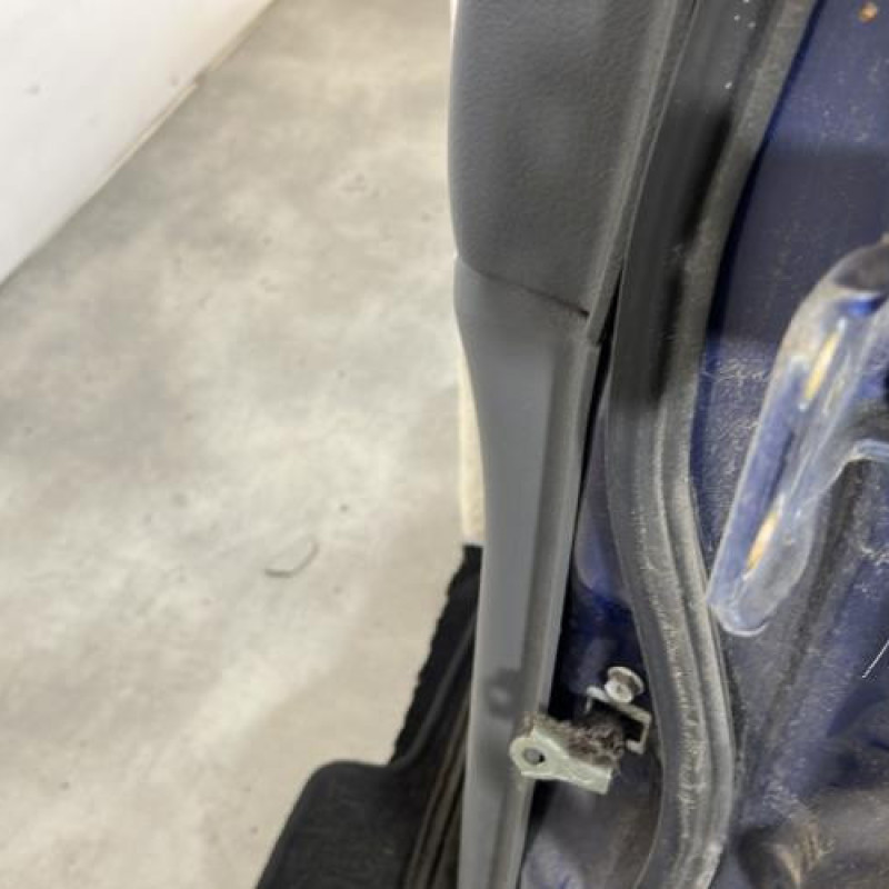 Porte arriere gauche SUZUKI LIANA Photo n°4