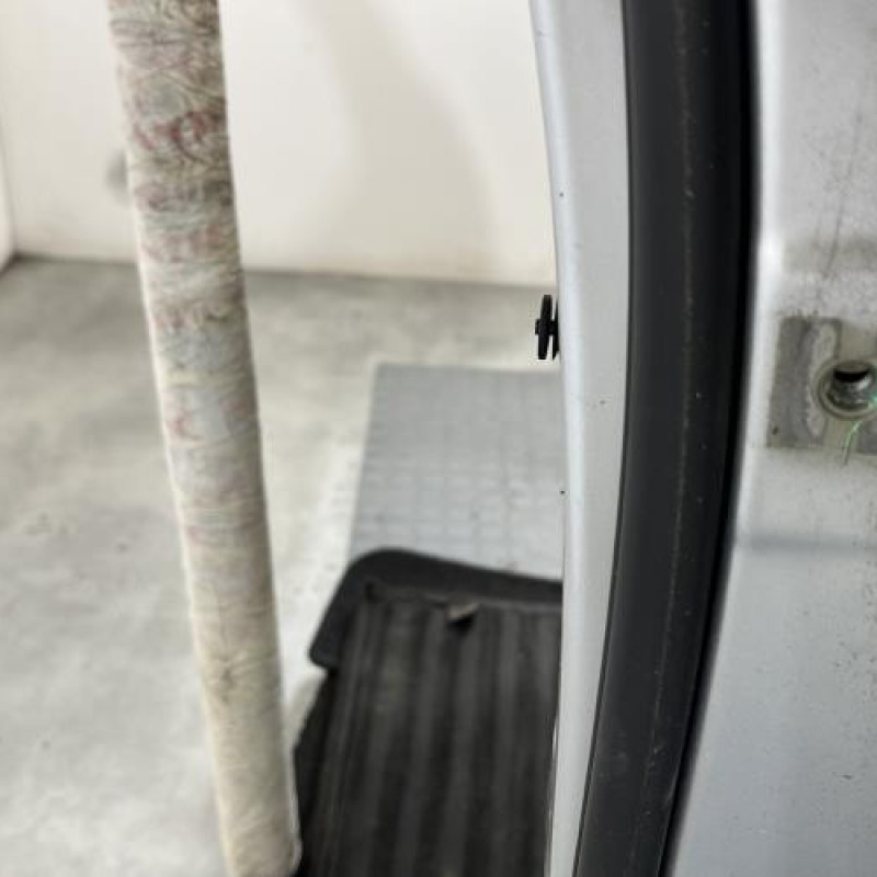 Porte arriere gauche VOLKSWAGEN POLO 4 Photo n°3