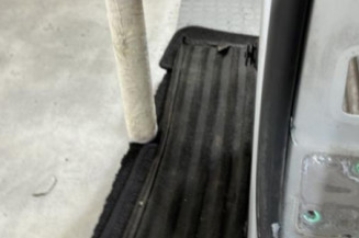 Porte arriere gauche VOLKSWAGEN POLO 4